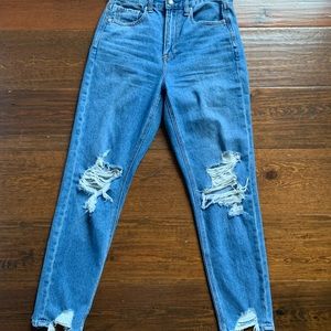 American Eagle Mom Jeans